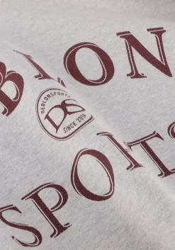 DEBLON SPORTS lichtgrijze sweater lilou sweater lichtgrijs Outlet