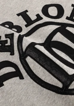 DEBLON SPORTS lichtgrijze sweater tess sweater lichtgrijs Clearance