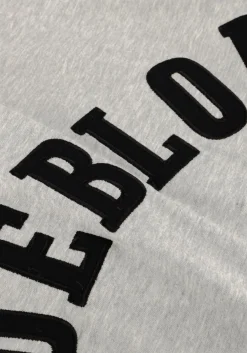 DEBLON SPORTS lichtgrijze t-shirt lou t-shirt lichtgrijs Best