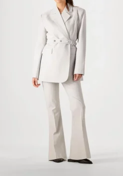 GESTUZ lichtgrijze blazer dagnygz blazer lichtgrijs Hot