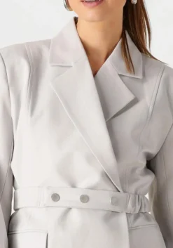 GESTUZ lichtgrijze blazer dagnygz blazer lichtgrijs Hot