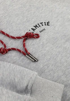 HAUTE L'AMITIÉ lichtgrijze haute l'amitié sweater mini curve hoodie sweat lichtgrijs Discount