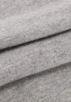 MAX MARA lichtgrijze trui educata lichtgrijs