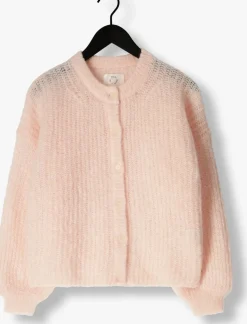 DES PETITS HAUTS trui alma lichtroze Best