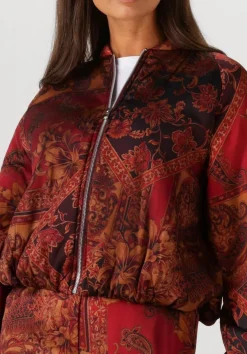 AMAYA AMSTERDAM jack faith multi Best