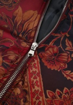 AMAYA AMSTERDAM jack faith multi Best