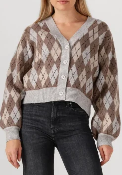 CO'COUTURE trui row check cardigan multi Outlet