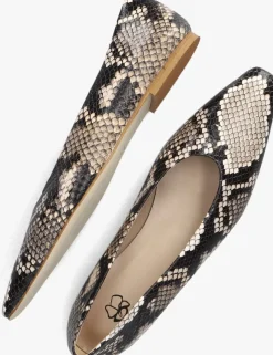 ODARE ballerina's girona met multi