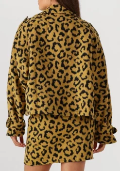 AMAYA AMSTERDAM jack lotus oker Sale