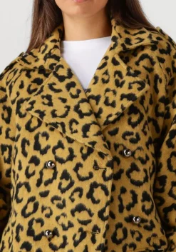 AMAYA AMSTERDAM jack lotus oker Sale