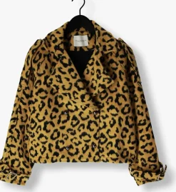 AMAYA AMSTERDAM jack lotus oker Sale