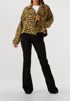 AMAYA AMSTERDAM jack lotus oker Sale