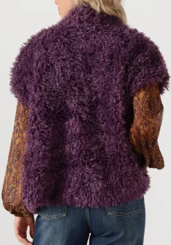 AMAYA AMSTERDAM e gilet bruna paars Sale