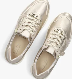 HASSIA roségouden lage sneakers bordeaux rosegoud Clearance