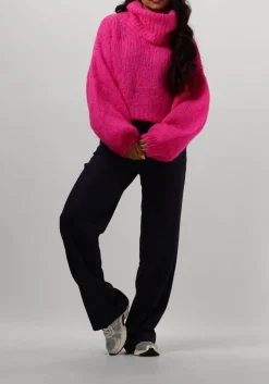 AMERICAN DREAMS coltrui pepper roll neck cropped roze Outlet