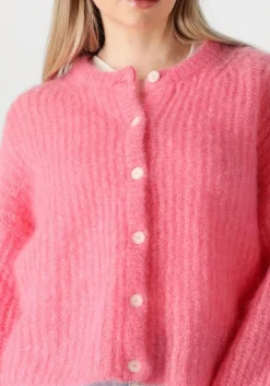 DES PETITS HAUTS trui alma roze