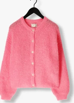 DES PETITS HAUTS trui alma roze