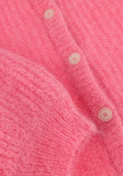 DES PETITS HAUTS trui alma roze