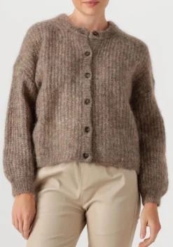 DES PETITS HAUTS trui alma taupe