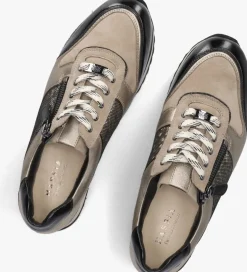 HASSIA lage sneakers porto taupe New