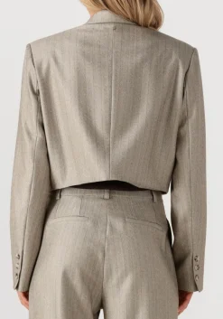 IBANA blazer jelah pinestripe taupe Online