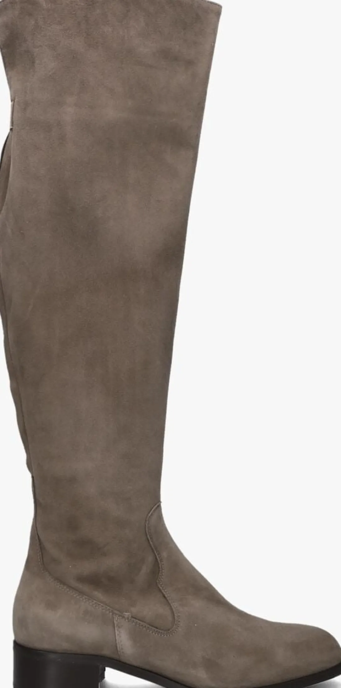 NALINI hoge laarzen 22i108 taupe Discount