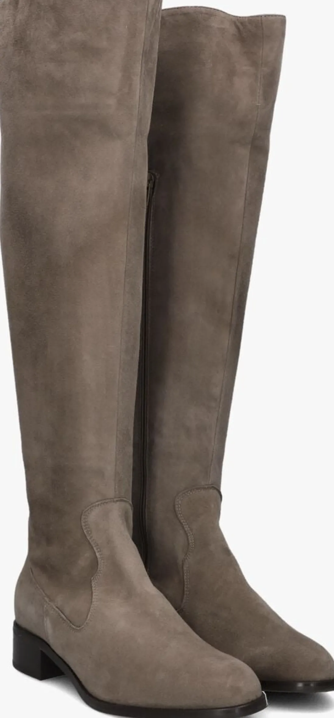 NALINI hoge laarzen 22i108 taupe Discount