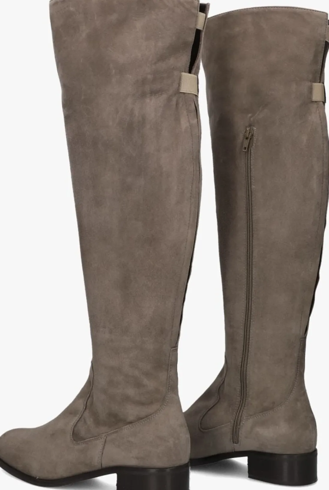 NALINI hoge laarzen 22i108 taupe Discount