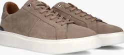 STEFANO LAURAN lage sneakers star 006 taupe Hot