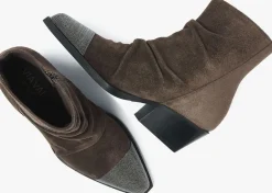 VIA VAI do berkley bruin