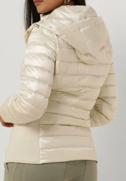 BEAUMONT te jack devi wit New