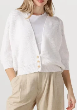 BELLAMY te vest tessa wit Sale