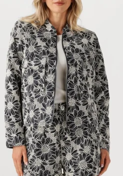 IBANA te jack jaidy wit Clearance