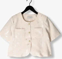 AMAYA AMSTERDAM blazer silver zilverkleurig New