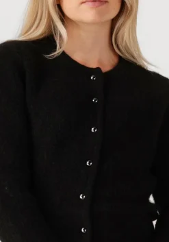 DES PETITS HAUTS e vest cumin zwart