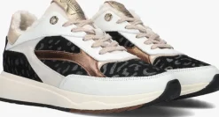 FLORIS VAN BOMMEL e lage sneakers sfw-10138 suvi zwart Discount