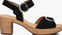 GABOR e sandalen 764.1 zwart Clearance