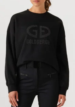 GOLDBERGH e sweater alessandra crew neck sweater zwart Sale