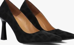 NOTRE-V e pumps 2211 zwart Hot